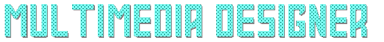 Graphic Designer
